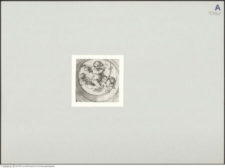 Vorderseite von unbekannt [https://www.deutsche-digitale-bibliothek.de/content/lizenzen/rv-ez/] Putti in Gewölbetondo - , bh532387_recto. Foto.