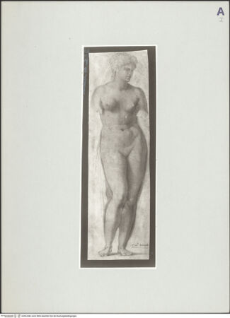 Vorderseite von bh532388_recto