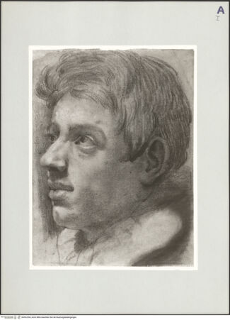 Vorderseite von bh532394_recto