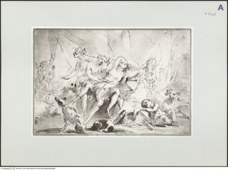 Vorderseite von bh532397_recto