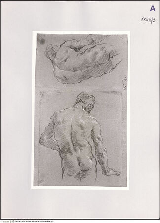 Vorderseite von bh532409_recto