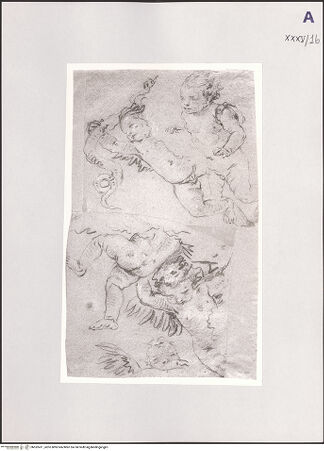 Vorderseite von bh532411_recto