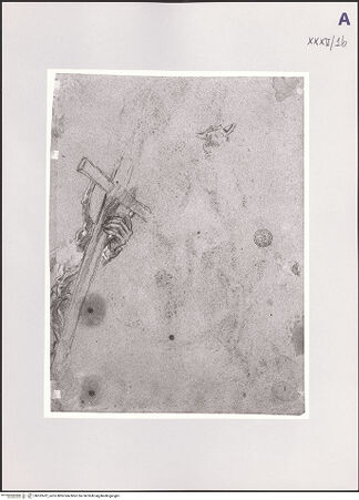 Vorderseite von bh532412_recto