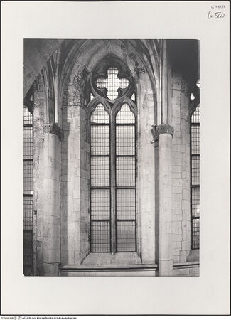 Vorderseite von Pedicini, Luciano [https://www.deutsche-digitale-bibliothek.de/content/lizenzen/rv-ez/] Sant'Eligio al MercatoSüdseitenschiff - Fenster, bh532449_recto. Foto: Pedicini, Luciano.