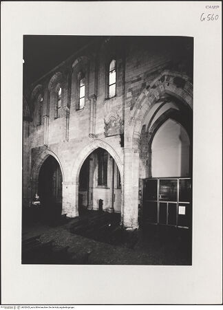 Vorderseite von Pedicini, Luciano [https://www.deutsche-digitale-bibliothek.de/content/lizenzen/rv-ez/] Sant'Eligio al Mercato - Südliche Arkadenwand von Nordwesten, bh532453_recto. Foto: Pedicini, Luciano.