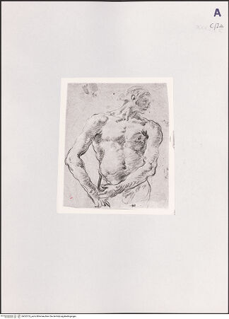 Vorderseite von bh532755_recto