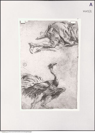 Vorderseite von bh532758_recto