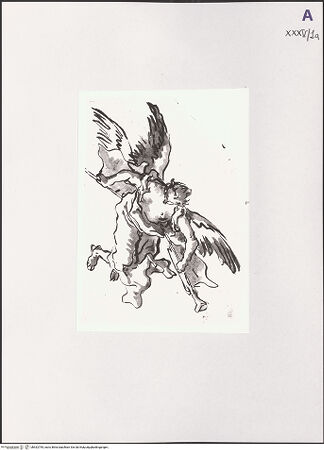 Vorderseite von bh532795_recto