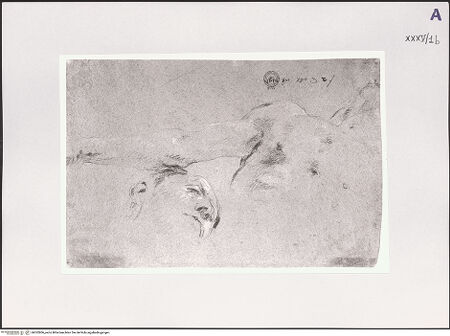 Vorderseite von bh532806_recto