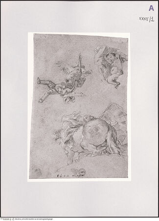 Vorderseite von bh532814_recto