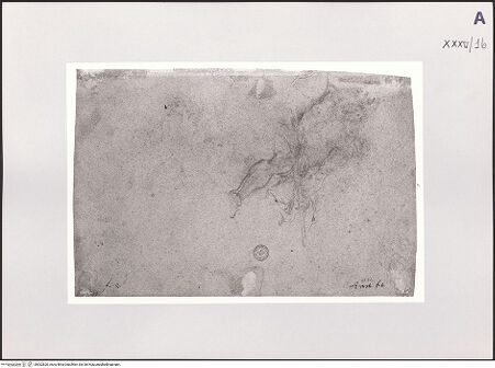 Vorderseite von bh532820_recto