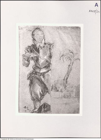 Vorderseite von bh532825_recto