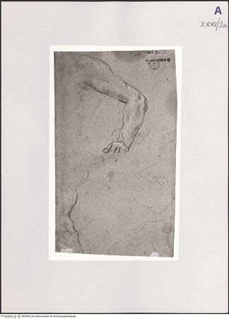 Vorderseite von bh532830_recto