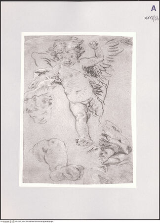 Vorderseite von bh532835_recto