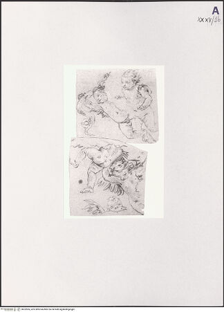 Vorderseite von bh532836_recto