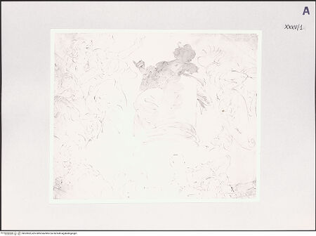 Vorderseite von bh532852_recto