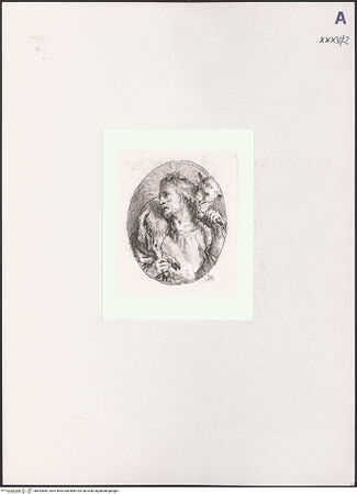 Vorderseite von bh532886_recto