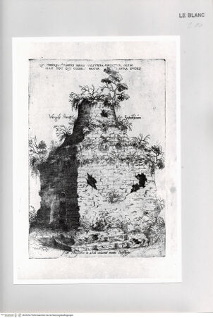 Vorderseite von Bibliotheca Hertziana [http://creativecommons.org/publicdomain/mark/1.0/] Monumenta clarorum doctrina praecipuè ...Tafel 10: Ruine des Grabmonuments von Vergil in Neapel - , bh533367. Foto.
