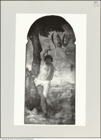 Vorderseite von bh533530_recto