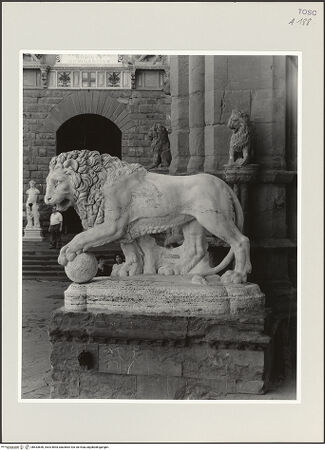 Vorderseite von bh533650_recto