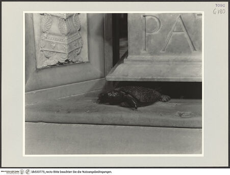 Vorderseite von bh533775_recto