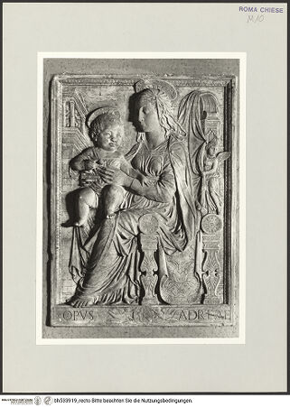 Vorderseite von bh533919_recto