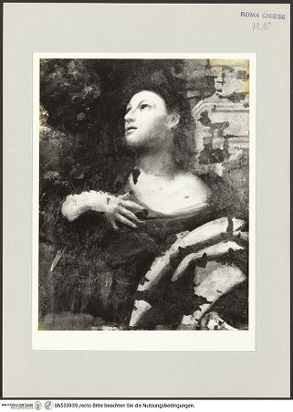 Vorderseite von bh533939_recto