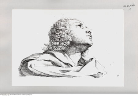 Vorderseite von Istituto Nazionale per la Grafica [http://creativecommons.org/publicdomain/mark/1.0/] Kopfstudie eines jungen Mannes - , bh534124. Foto.