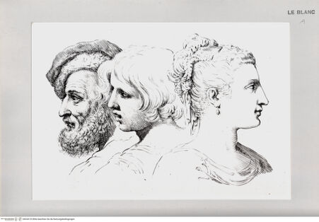 Vorderseite von Istituto Nazionale per la Grafica [http://creativecommons.org/publicdomain/mark/1.0/] Kopfstudien eines jungen und eines alten Mannes und einer Frau im Profil - , bh534125. Foto.