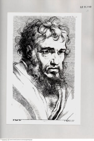 Vorderseite von Istituto Nazionale per la Grafica [http://creativecommons.org/publicdomain/mark/1.0/] Kopfstudie eines alten Mannes mit Bart - , bh534126. Foto.