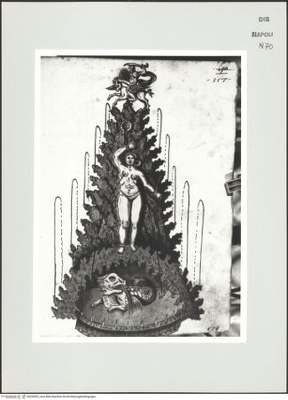 Vorderseite von Bibliotheca Hertziana [http://creativecommons.org/publicdomain/mark/1.0/] Scritti e disegniBrunnen mit Perseus und Andromeda - , bh534329_recto. Foto: D'Onofrio, Cesare.