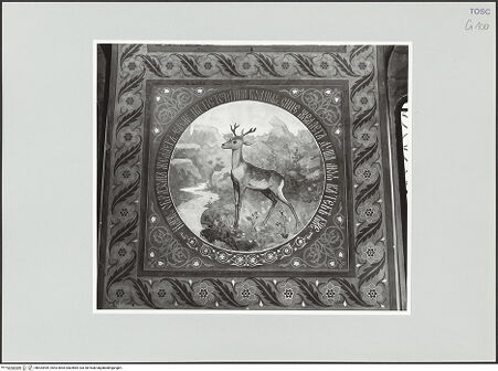 Vorderseite von bh534499_recto