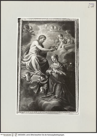 Vorderseite von bh534501_recto