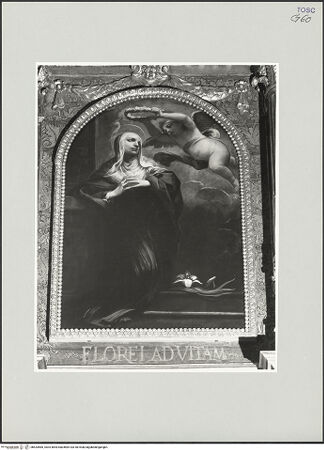 Vorderseite von Foto Marburg [https://www.deutsche-digitale-bibliothek.de/content/lizenzen/rv-ez/] OrgelemporeHeilige Flora - Gesamtansicht, bh534585_recto. Foto: Gloc, Jan.