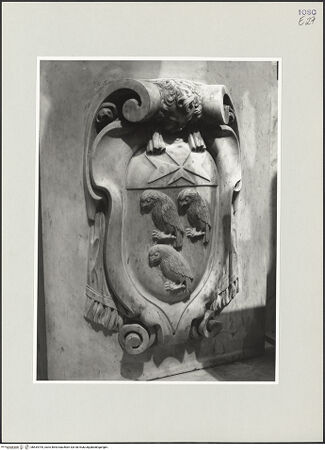 Vorderseite von bh534794_recto