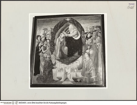 Vorderseite von bh534831_recto