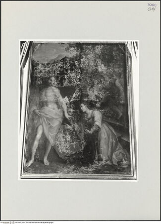 Vorderseite von bh534895_recto