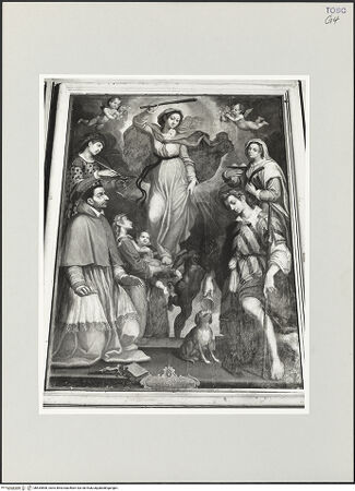 Vorderseite von bh534898_recto