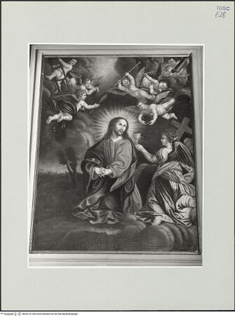 Vorderseite von bh535142_recto