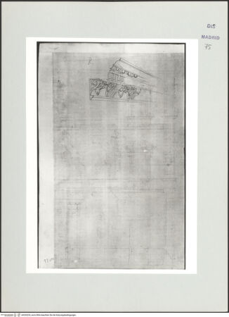 Vorderseite von Biblioteca Nacional [https://www.deutsche-digitale-bibliothek.de/content/lizenzen/rv-ez/] Album des Fra Giovanni Vincenzo CasaliRom, Fassade des Palazzo Maffei-Marescotti, Gesims - , bh535235_recto. Foto.