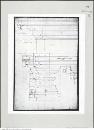 Vorderseite von bh535285_recto