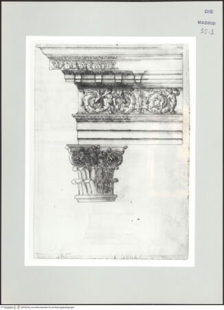 Vorderseite von bh535295_recto