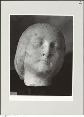 Vorderseite von bh535656_recto