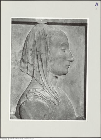 Vorderseite von bh535657_recto