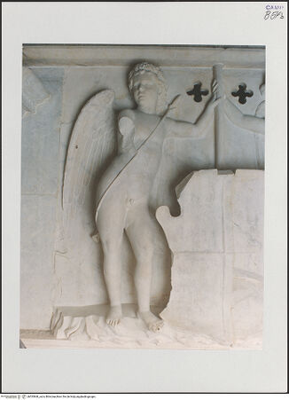 Vorderseite von Sopr. BAS NA [https://www.deutsche-digitale-bibliothek.de/content/lizenzen/rv-ez/] Triumphbogen Alfonsos VPlastische Dekoration mit dem Relief der Krönung von Ferdinand I.Wappenhaltende Genien - Linker Genius, bh535668_recto. Foto.