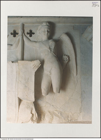 Vorderseite von Sopr. BAS NA [https://www.deutsche-digitale-bibliothek.de/content/lizenzen/rv-ez/] Triumphbogen Alfonsos VPlastische Dekoration mit dem Relief der Krönung von Ferdinand I.Wappenhaltende Genien - Rechter Genius, bh535669_recto. Foto.