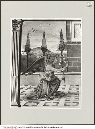 Vorderseite von bh536216_recto