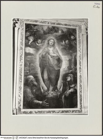 Vorderseite von bh536267_recto