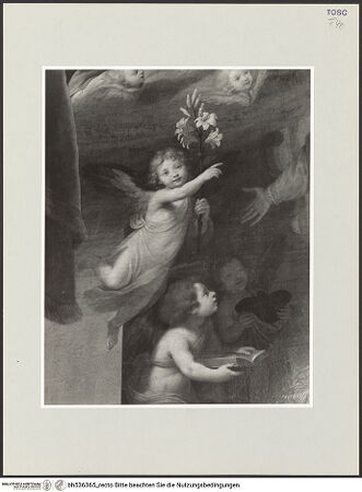 Vorderseite von bh536365_recto