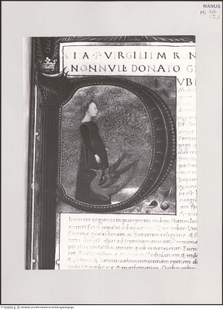 Vorderseite von bh536430_recto